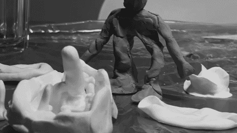 Full Width and Height Image